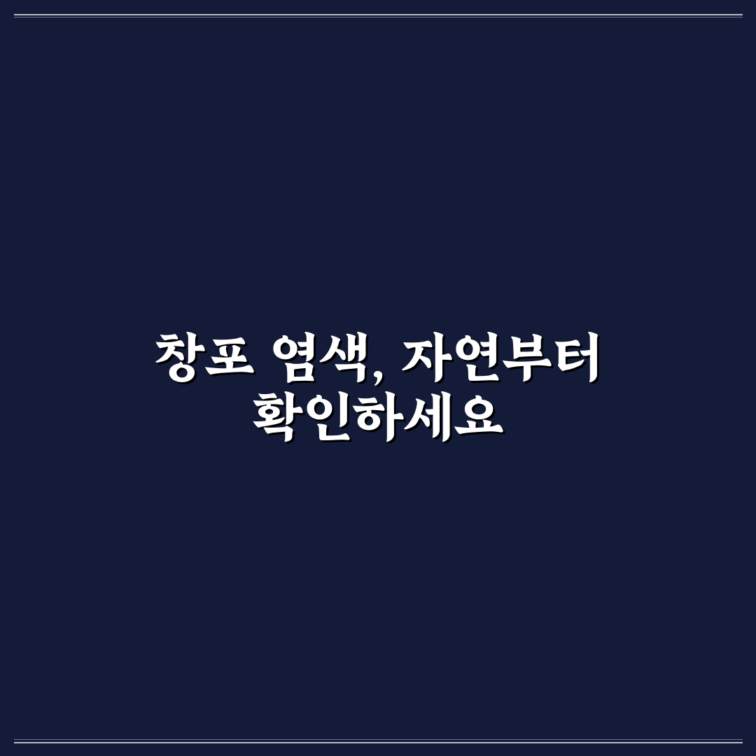 창포 염색약 5가지 성분별 효과 비교와 선택 기준
