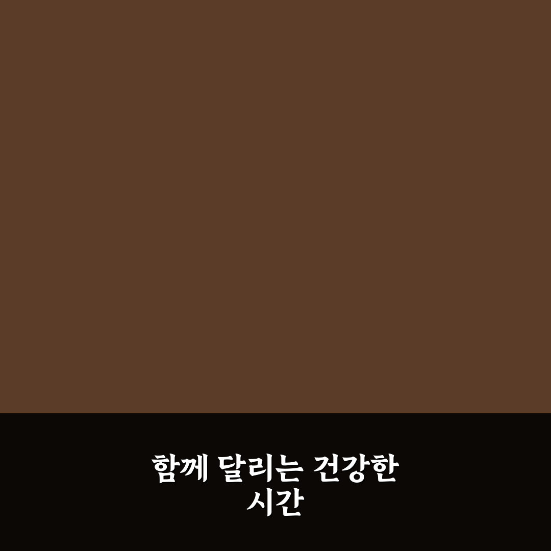 자전거 데이트 커플 운동 추천 함께 건강을 챙기는 즐거운 시간