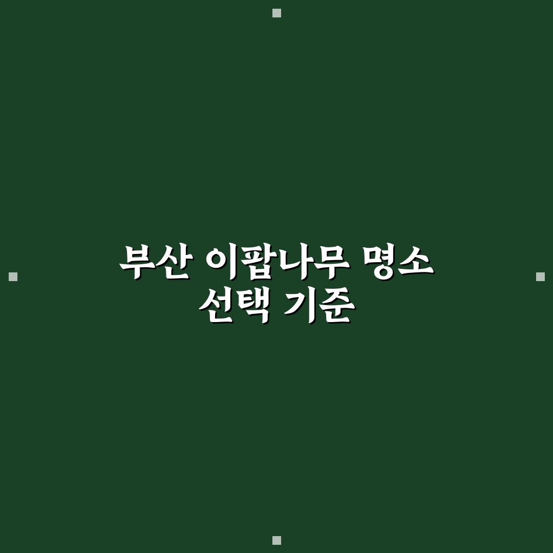 부산 이팝나무 명소 비교와 방문 전 체크포인트 총정리