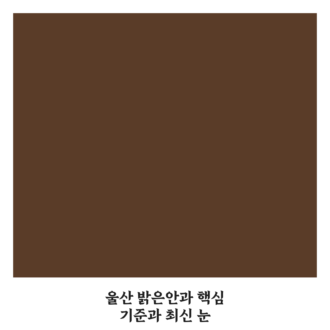 울산 밝은안과 선택 가이드와 5가지 핵심 비교 기준