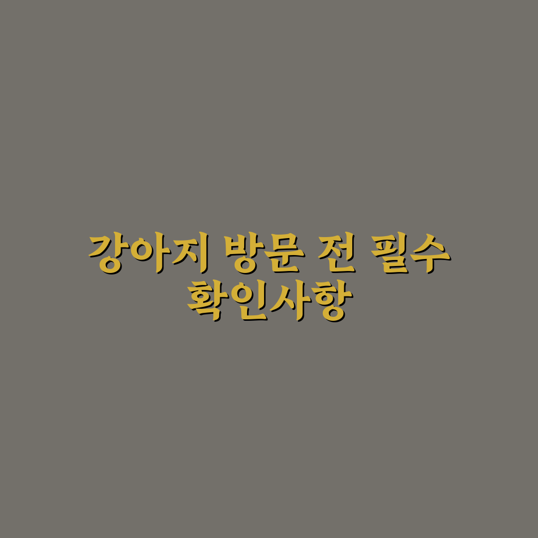 남이섬 강아지 동반 시 알아야 할 5가지 기준 분석