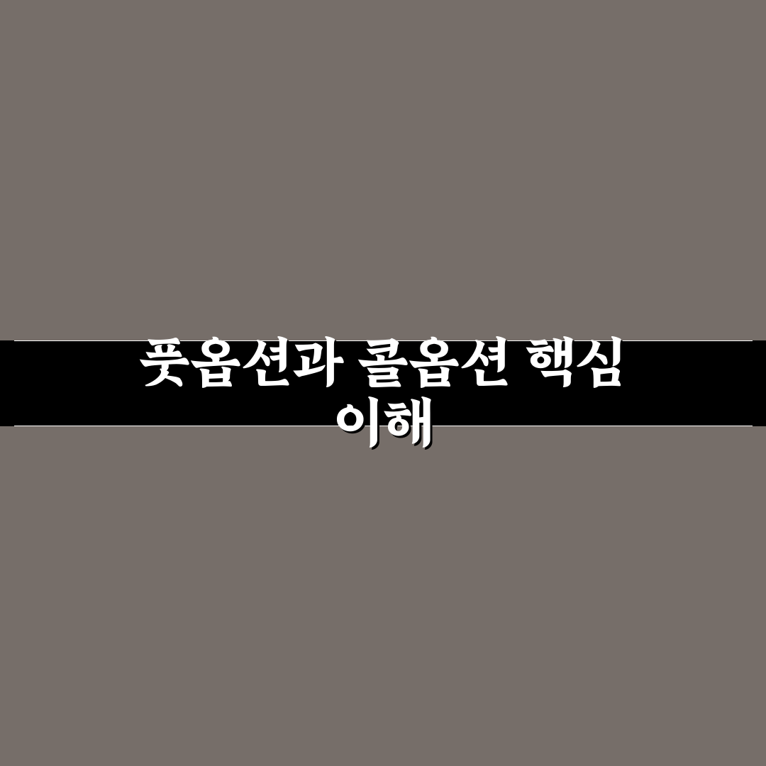 풋옵션 콜옵션 비교와 투자 판단을 위한 5가지 기준 총정리