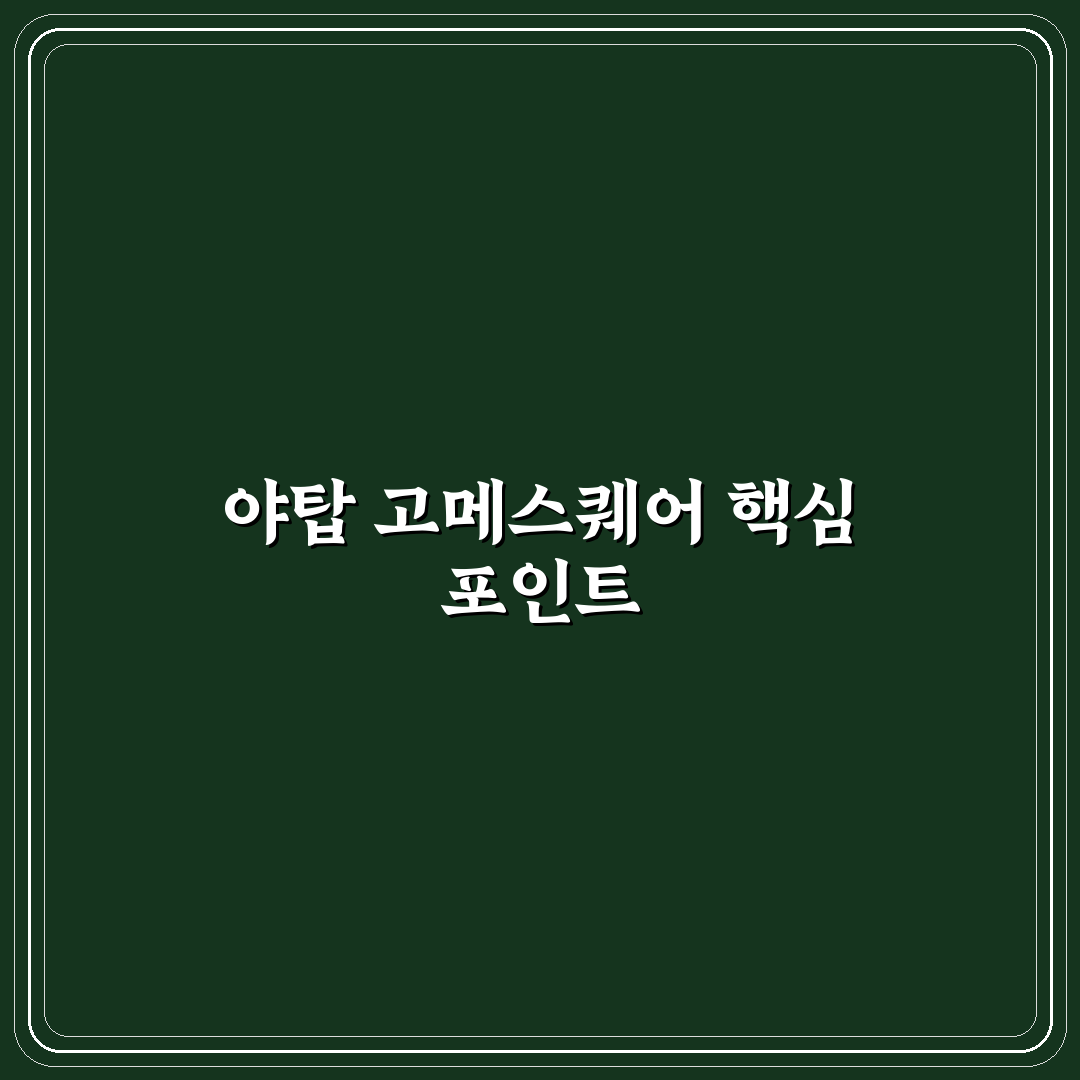 야탑 고메스퀘어 상권 분석과 입지 판단 가이드