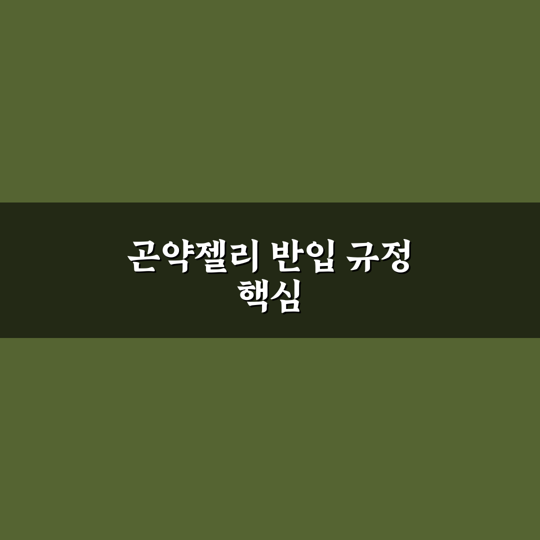 곤약젤리 파우치 반입 기준과 주요 체크포인트 분석