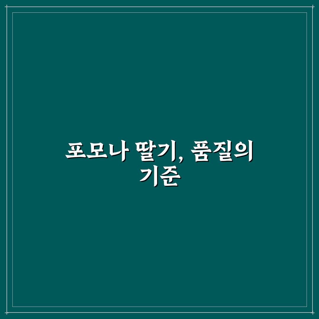 포모나 딸기 품종별 특성 비교와 재배 기준 5가지
