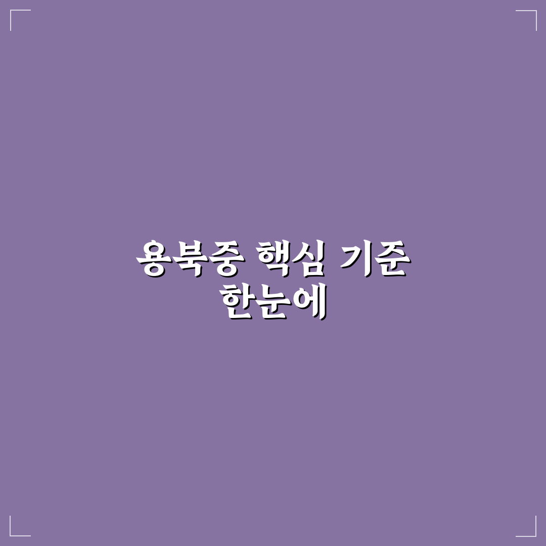 용북중 교육환경과 교과과정 비교 분석 가이드