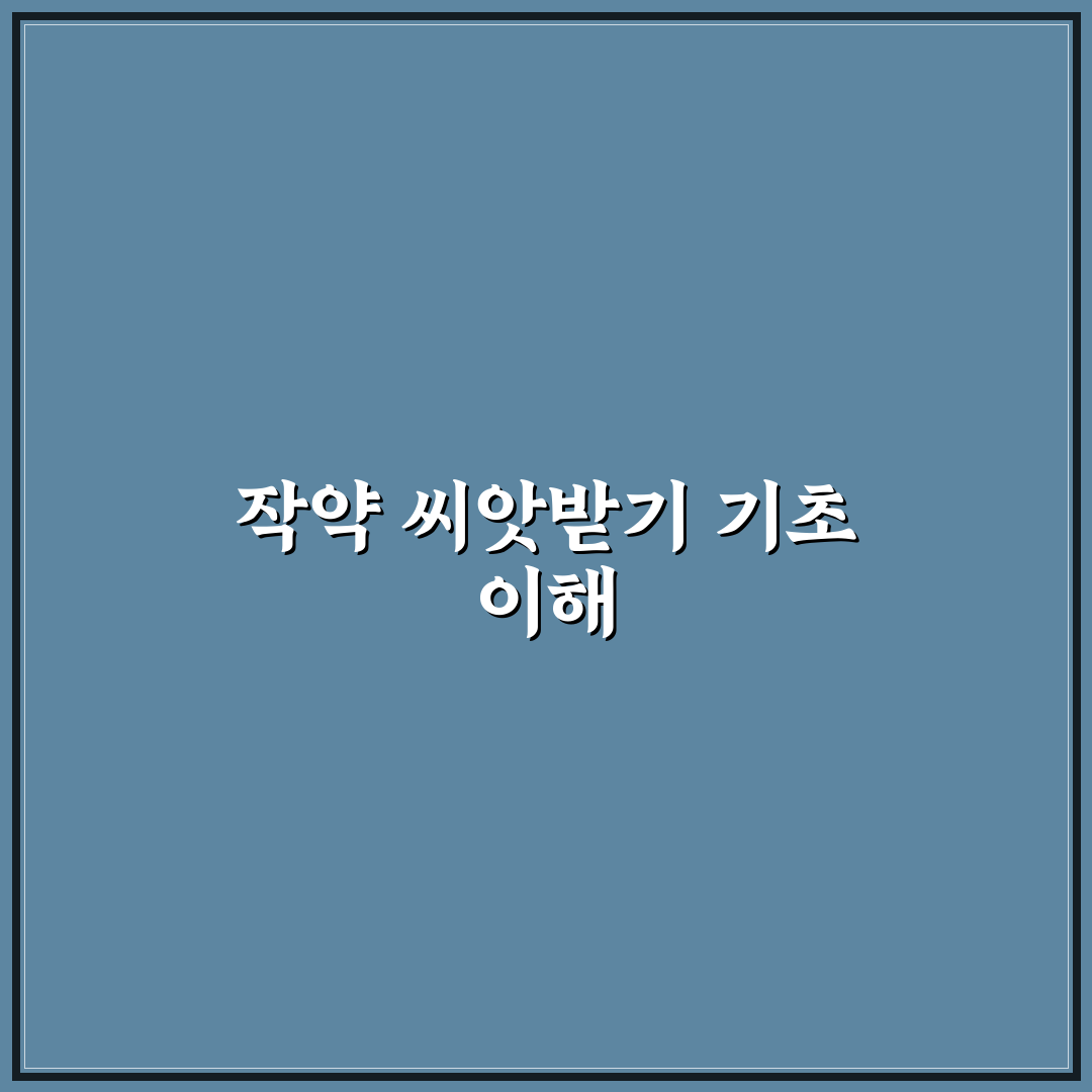 작약씨앗받는법 5가지 기준별 비교와 분석 총정리