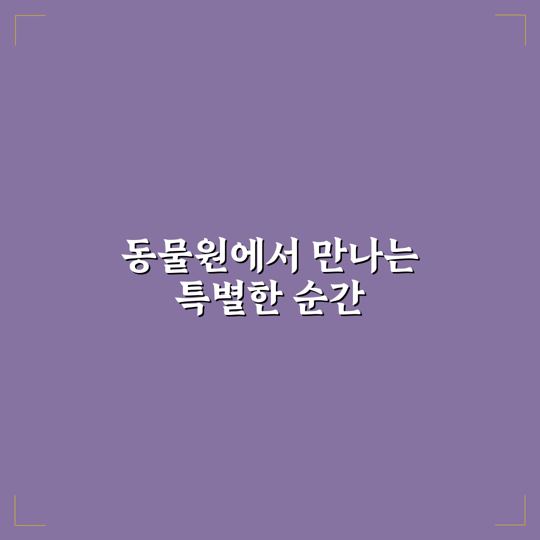동물원 데이트 귀여움과 사랑스러운 동물들과 교감하는 꿀팁