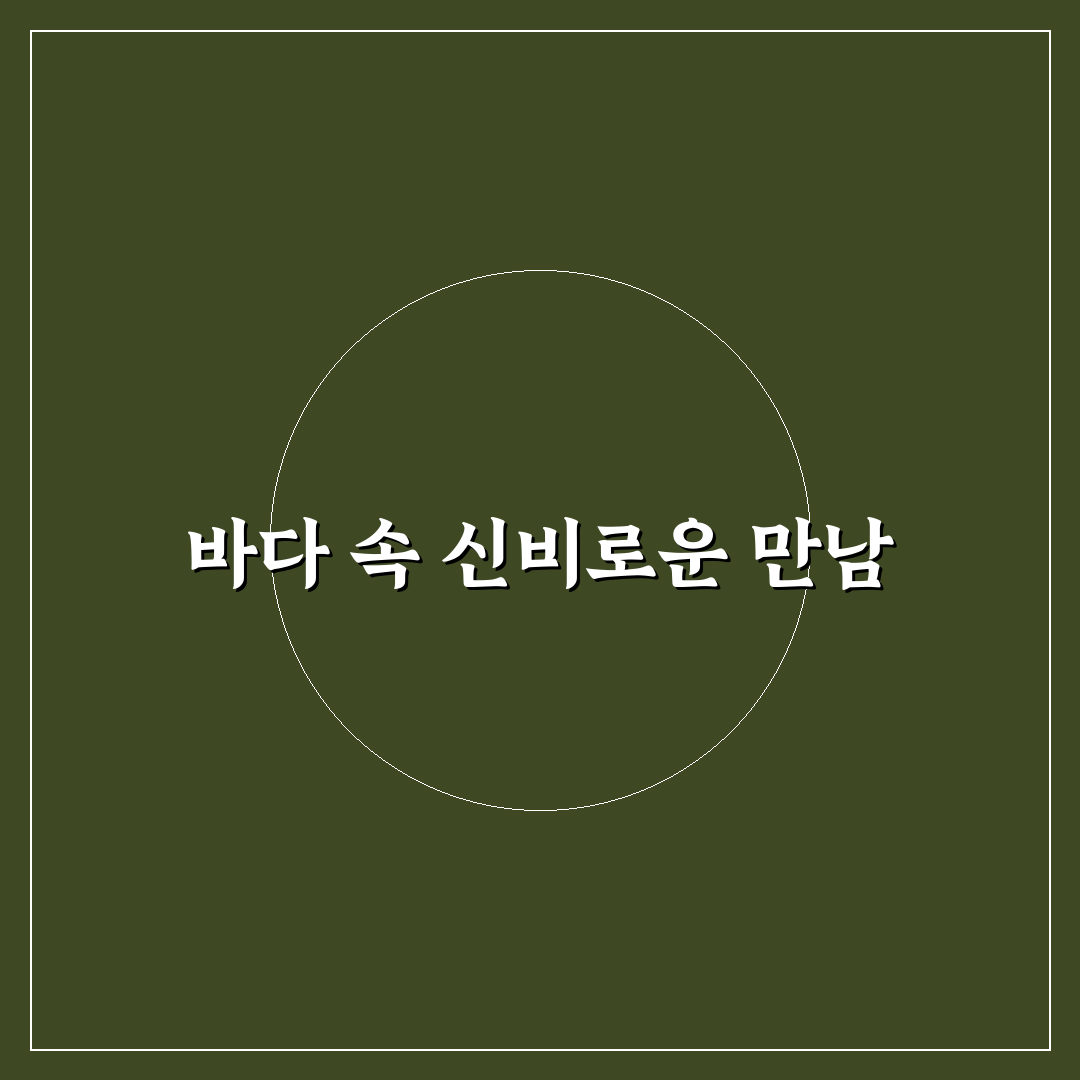 스쿠버다이빙 데이트 바다 속 신비로운 해양 생물 탐험 꿀팁