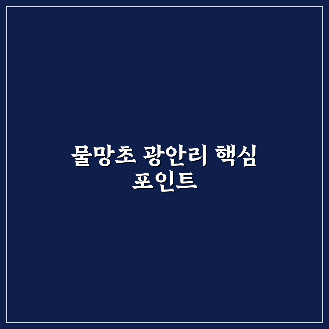 물망초 광안리 방문 전 5가지 체크포인트 총정리
