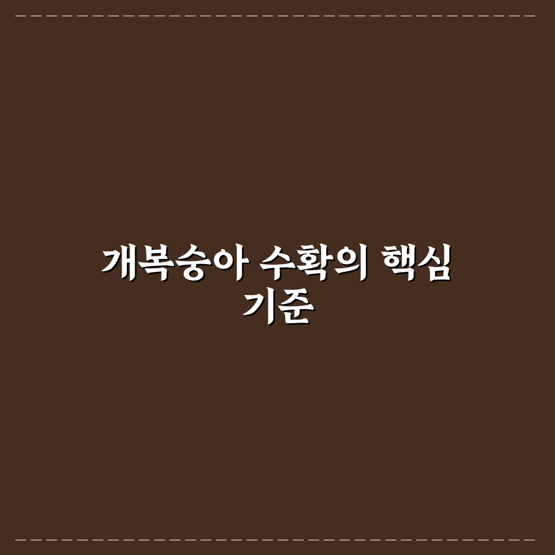 개복숭아수확시기 판단을 위한 5가지 체크포인트 총정리