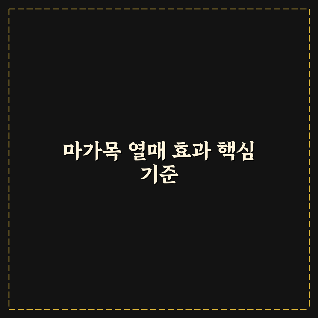 마가목 열매 효능 7가지 기준별 건강 효과 총정리
