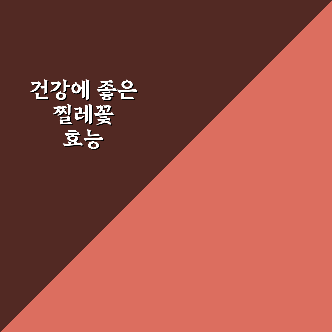 찔레꽃효능 5가지 기준별 건강 효과 분석과 가이드