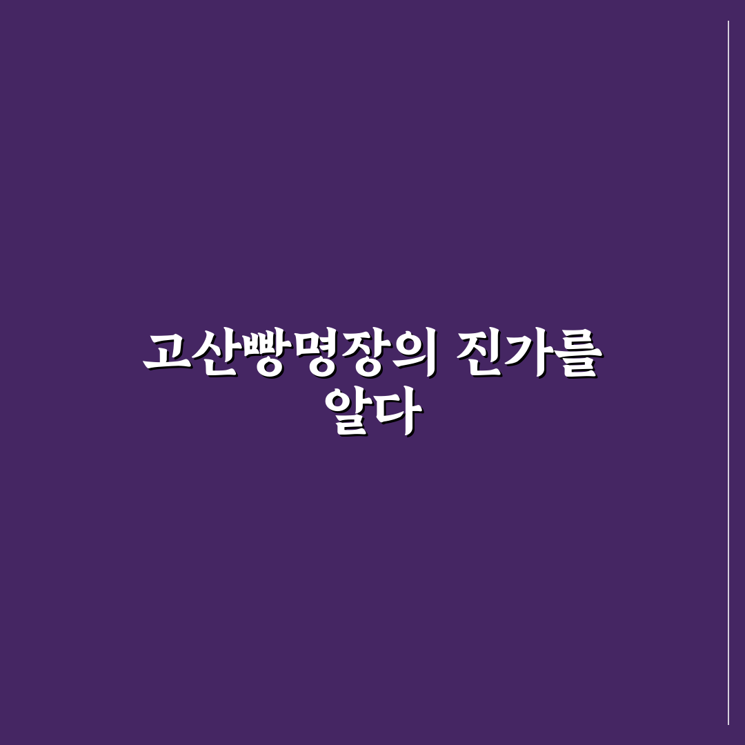 고산빵명장 비교와 5가지 품질 기준 총정리