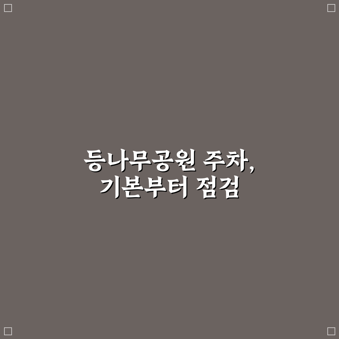 등나무 근린공원 주차 공간 실태와 이용 가이드 비교 분석