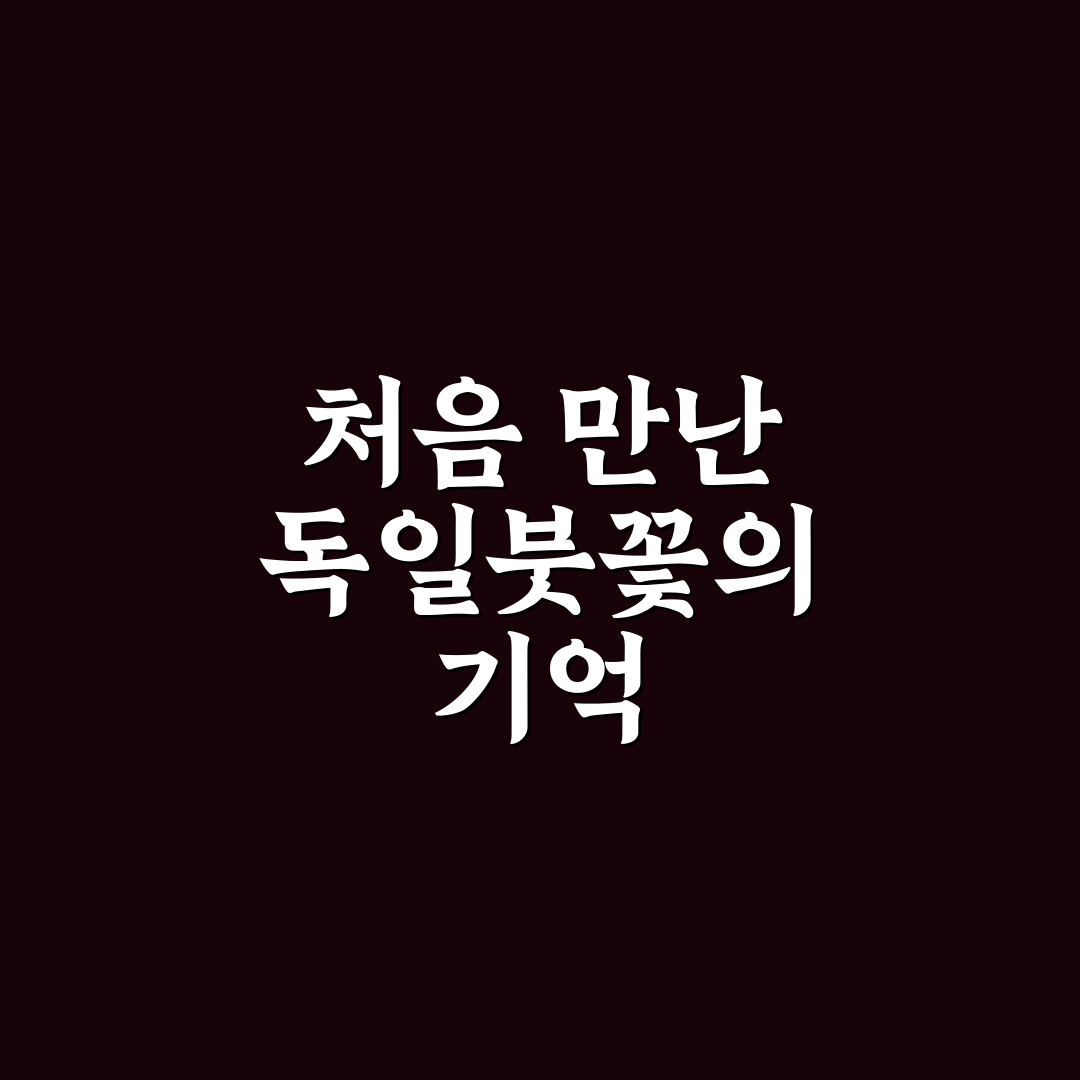 독일붓꽃 심는 방법, 직접 해보니 알게 된 점
