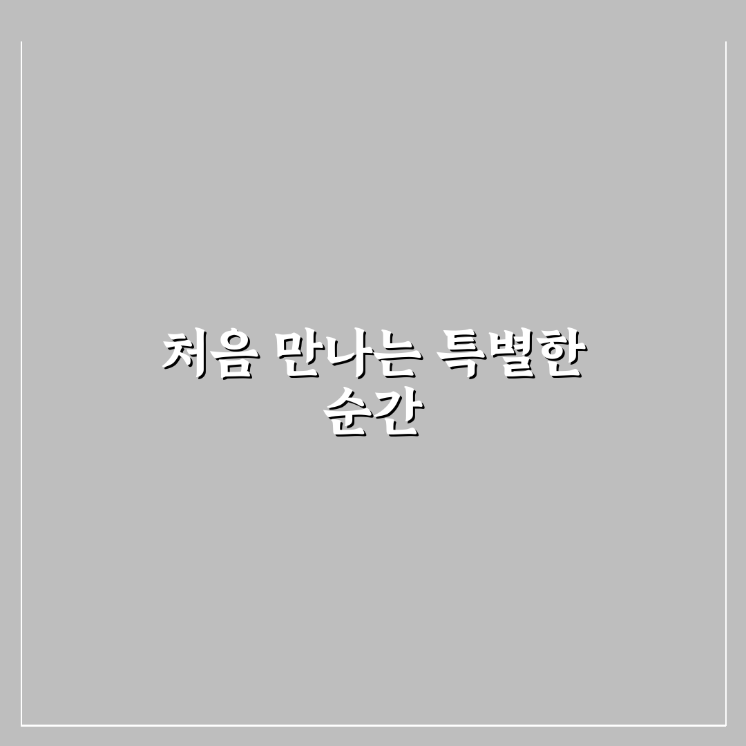 청주등나무카페 방문 후기, 조용한 분위기가 인상적이었어요