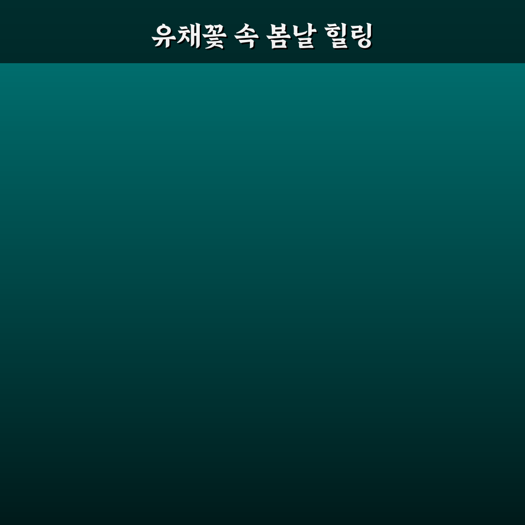 어린이대공원 유채꽃 구경 5가지 체크포인트 분석