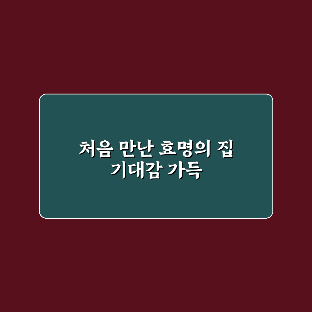 실로암 효명의집 방문 후기, 직접 가보니 알게 된 점