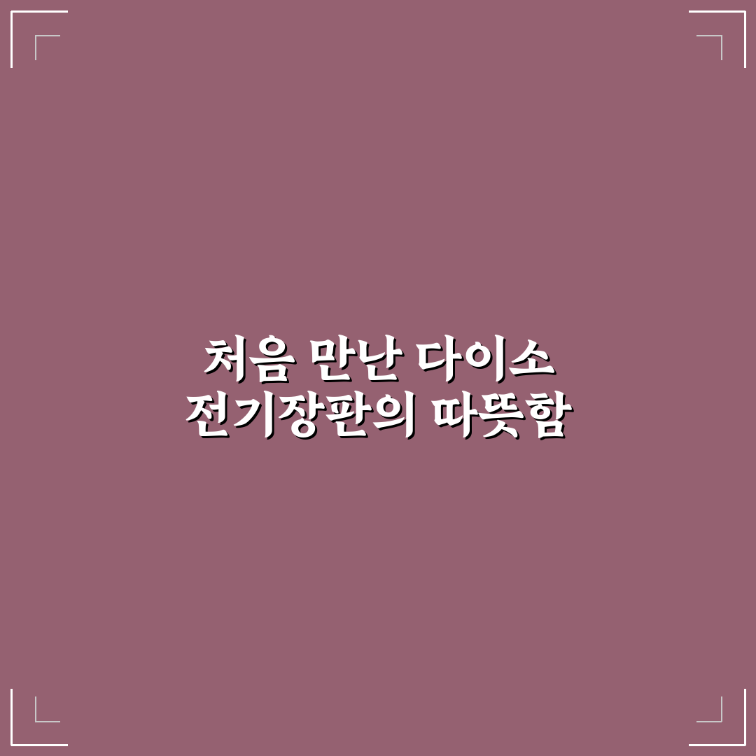 다이소 전기장판 사용 후기, 직접 써보니 괜찮았던 점