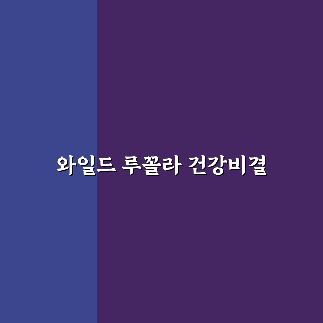 와일드 루꼴라 효능 5가지 기준별 비교와 분석