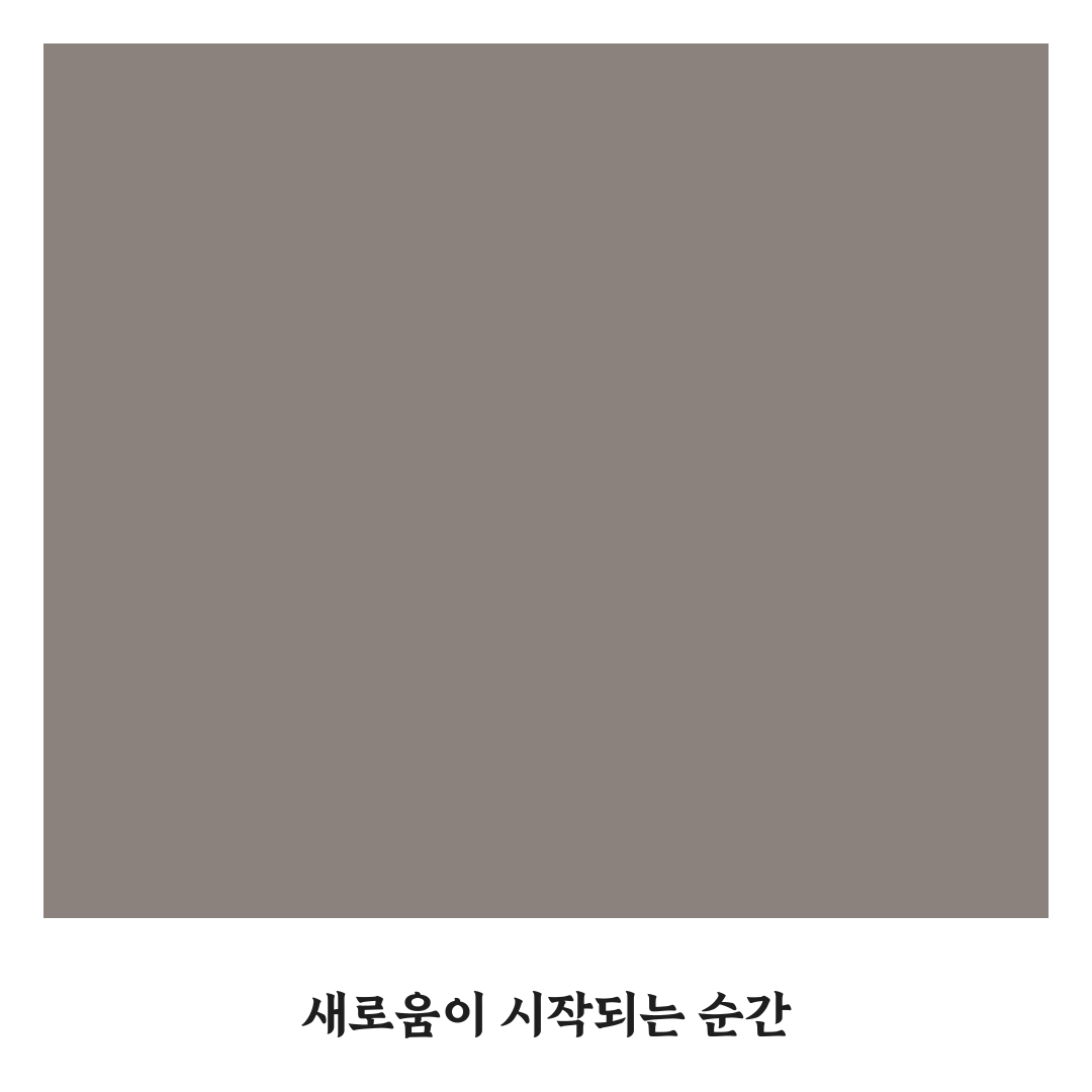 인조 셔틀콕 사용 후기, 직접 써보니 내구성은 어떨까