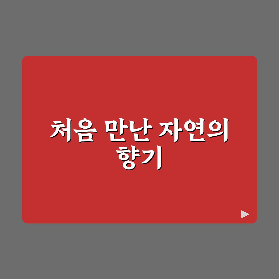 이팝나무 성지 방문 후기, 직접 가보니 느낀 점