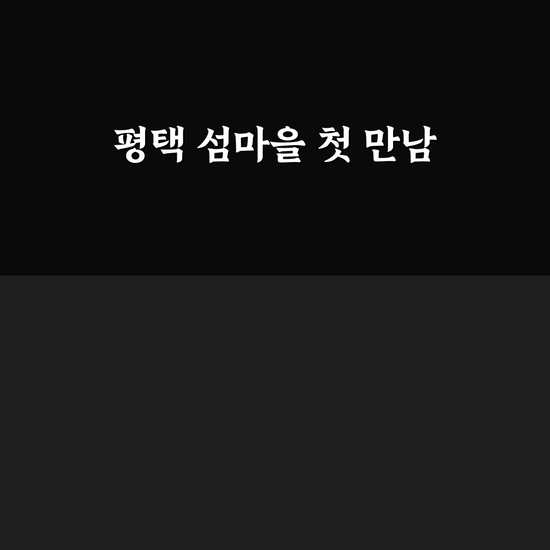 평택 섬마을 방문 후기, 한적한 매력 직접 느껴보니