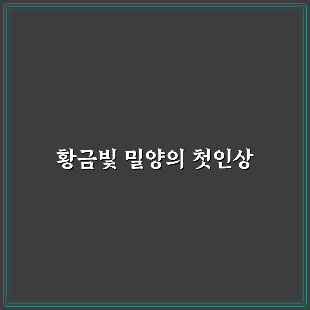 밀양 금계국 방문 후기, 직접 가보니 느낀 점