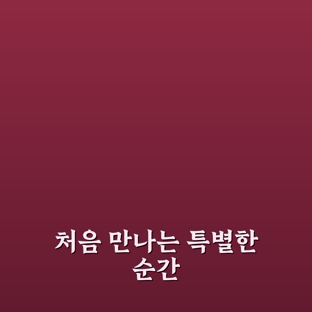 양재역 난랑 방문 후기, 분위기와 음식 솔직히 써봄