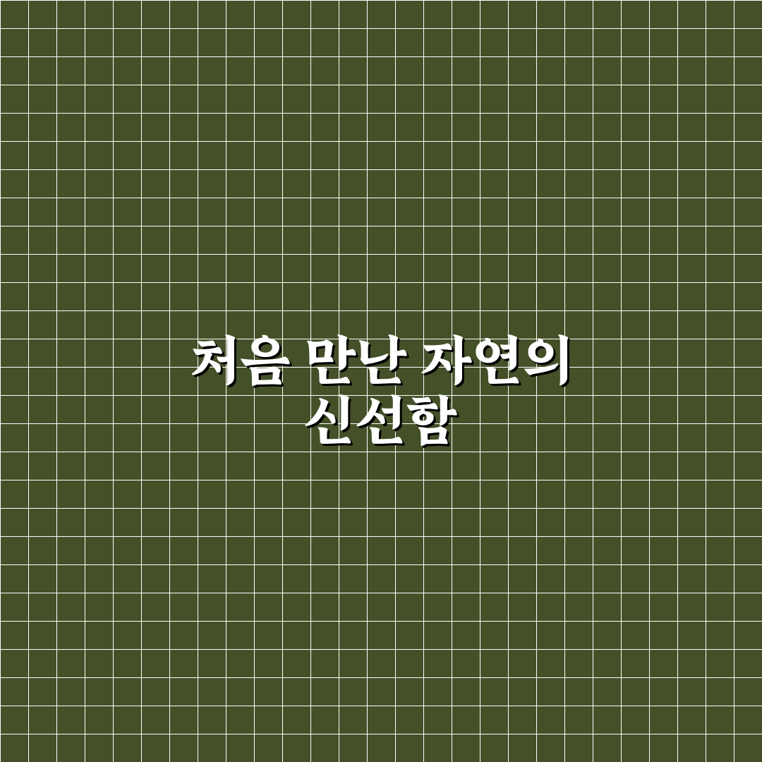 등나무꽃 아카시아 직접 알아보니 차이점 정리해봤어요