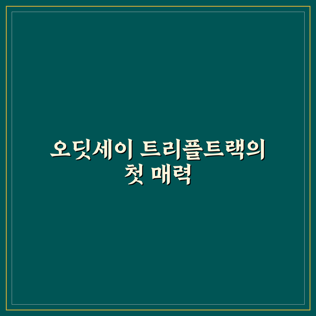오딧세이 트리플트랙 사용 후기, 직접 써보니 느낀 점