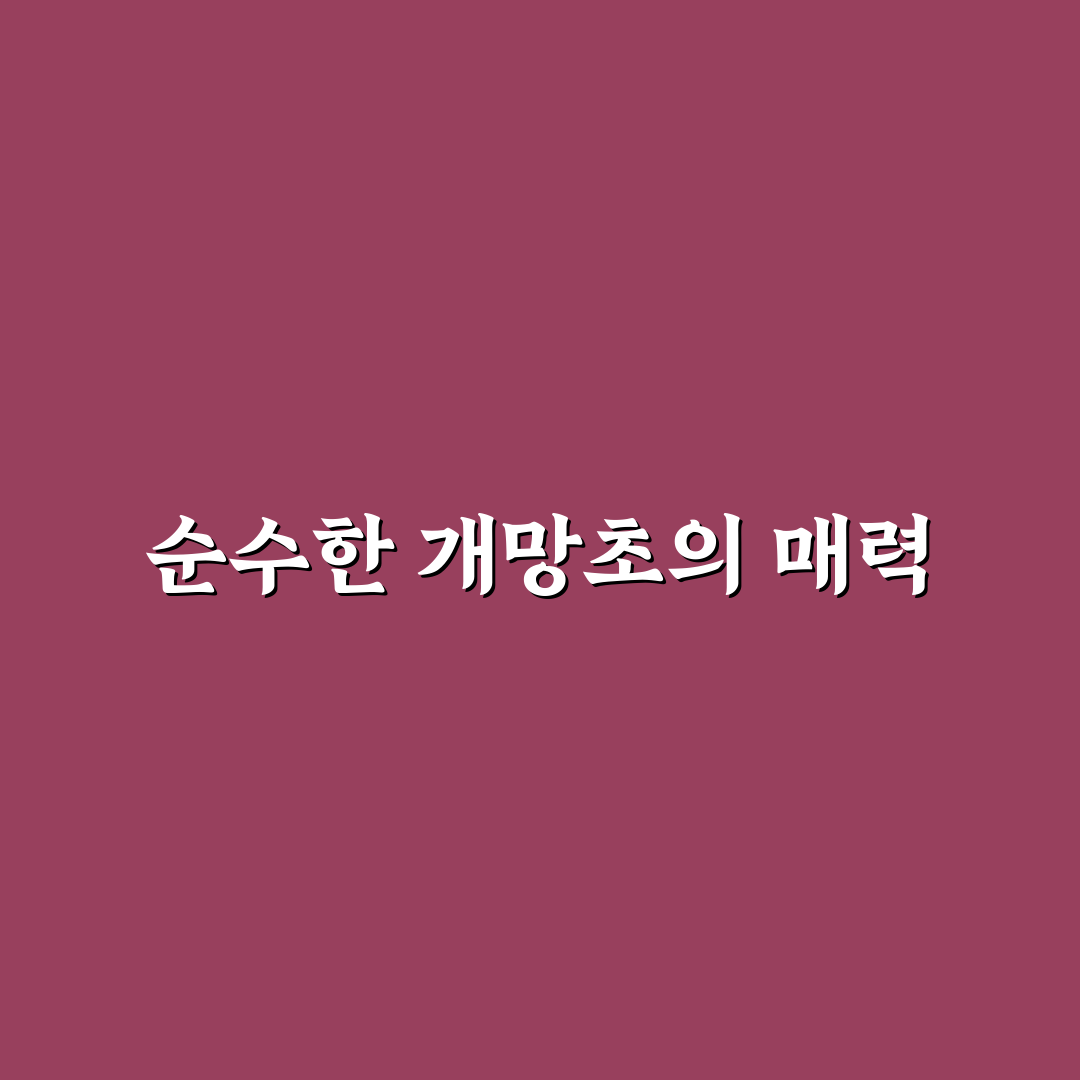 개망초 나물 레시피 직접 해보니 맛과 손쉬움이 궁금했어요