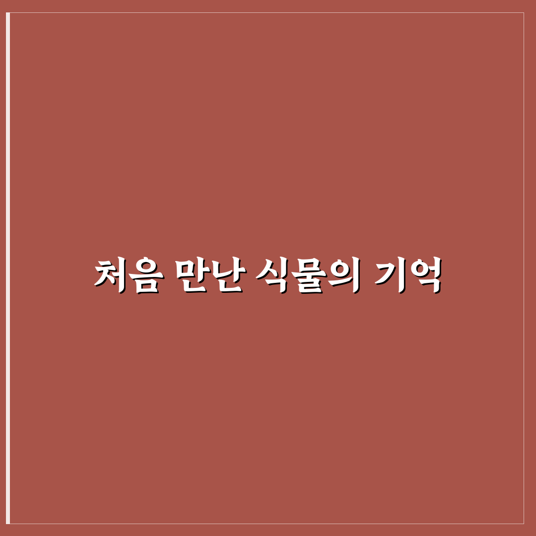 등심붓꽃 키우기 후기, 직접 가꿔보니 알게 된 점