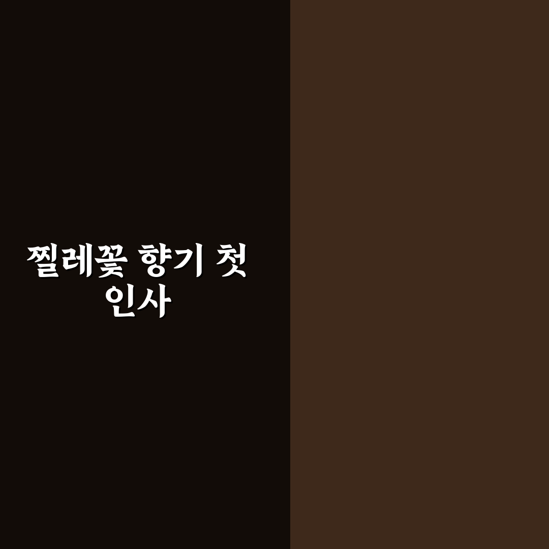 찔레꽃 개화시기 직접 알아보니 계절별 변화가 달랐어요