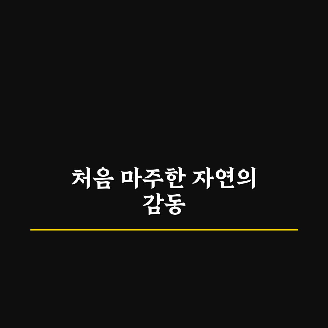 밀양 이팝나무 명소 방문 후기, 봄꽃 풍경 직접 보고 느낀 점