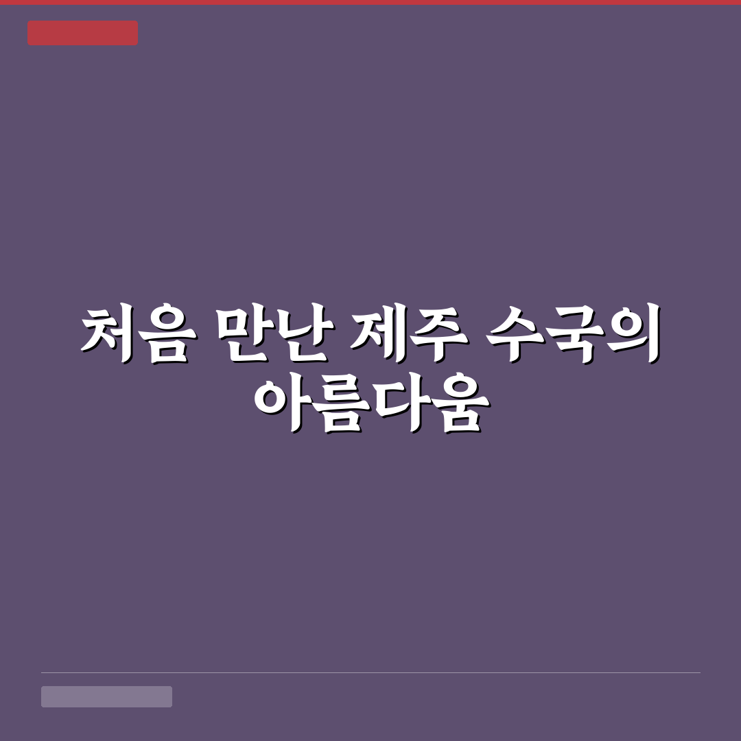 제주 수국 개화시기 방문 후기, 직접 가보니 시기별 풍경 변화