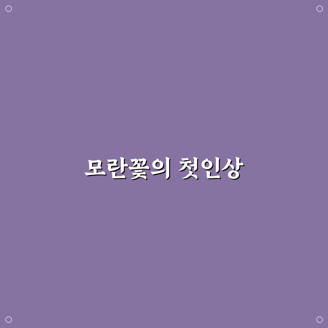 서울대공원 모란꽃 방문 후기, 직접 봐보니 느낌은