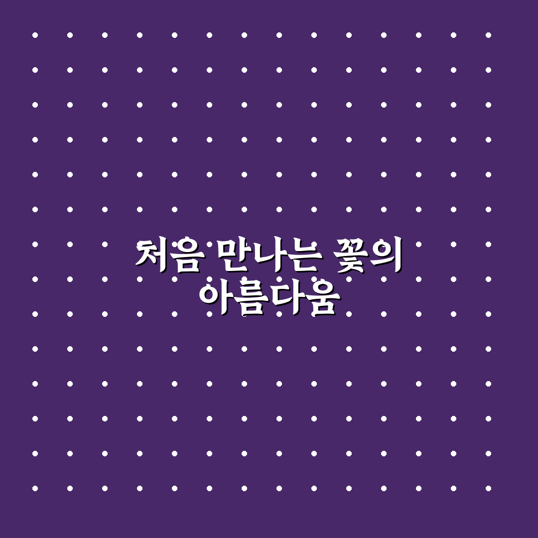목단 모란 작약 차이 직접 알아보니 헷갈렸던 부분