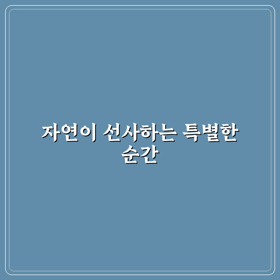 대구 능소화폭포 방문 후기, 직접 가보니 분위기가 달랐어요