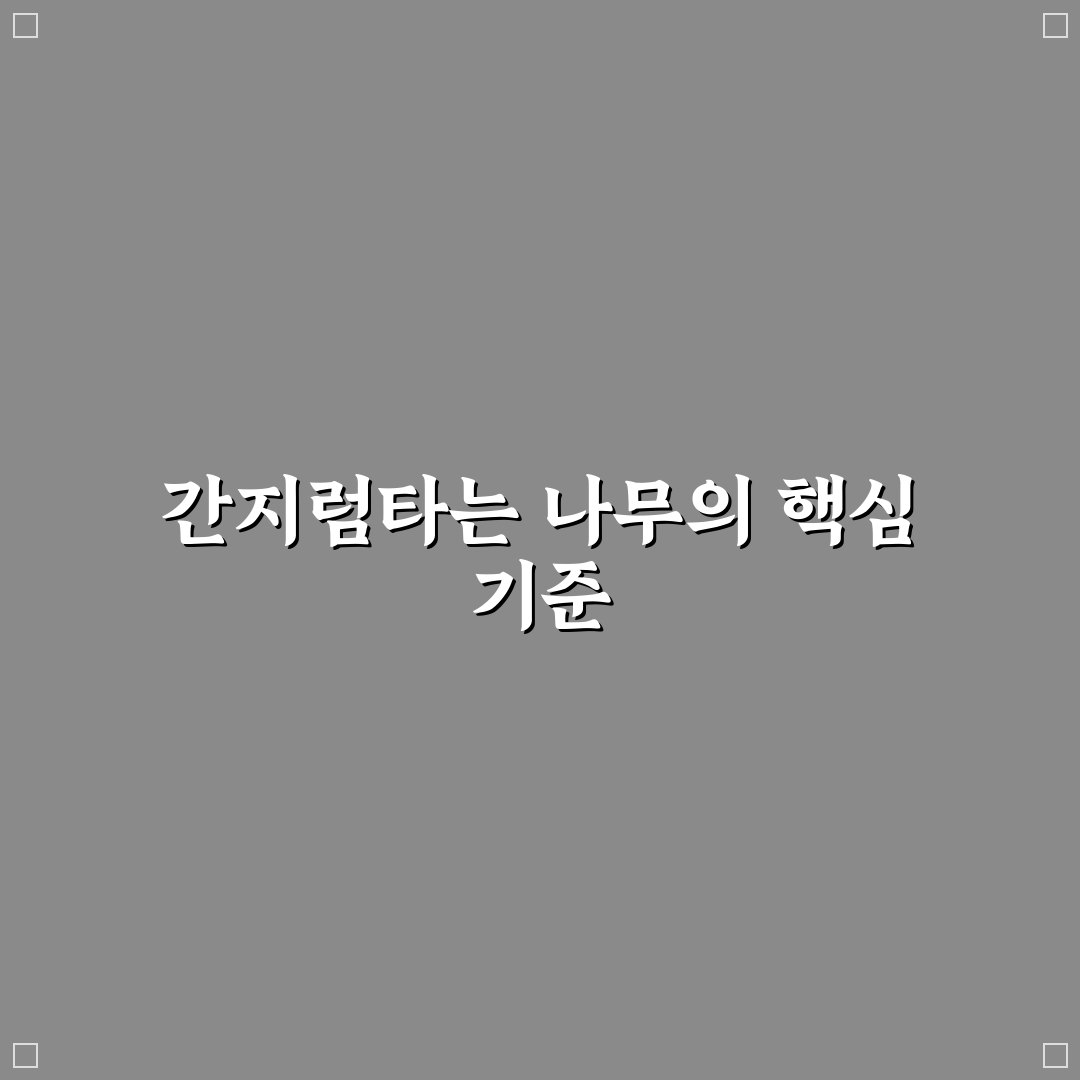 간지럼타는 나무 효과와 종류별 특징 분석 가이드