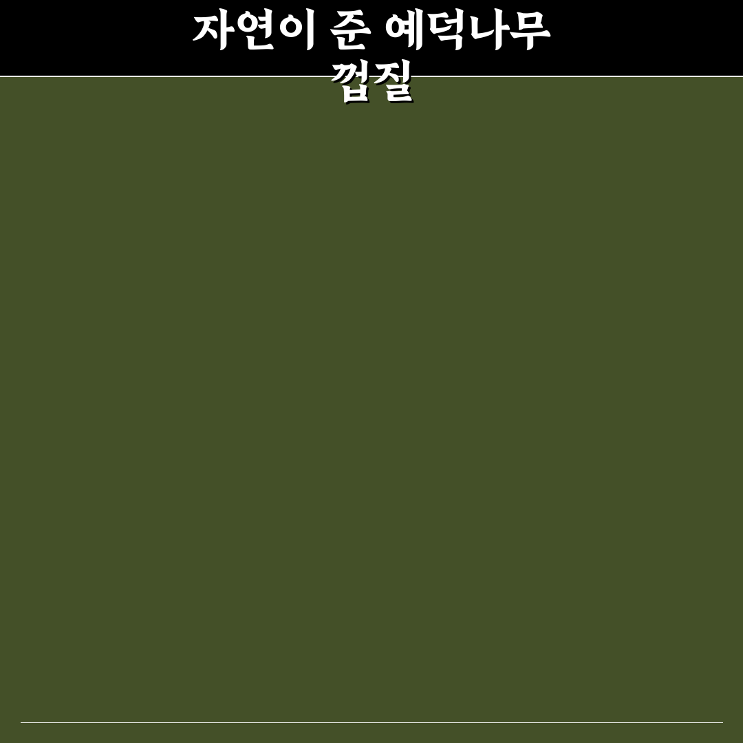 예덕나무 껍질 가격 직접 알아보니 비용 차이 있었어요