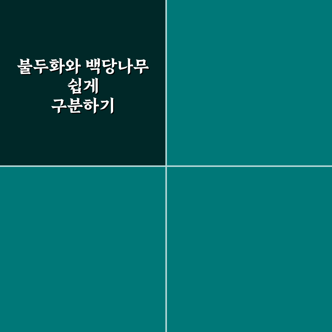 불두화와 백당나무 차이 분석 및 선택 기준 총정리