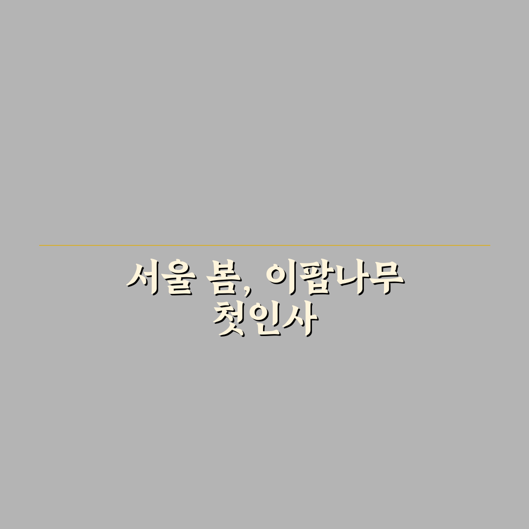 서울 이팝나무 명소 방문 후기, 직접 가보니 풍경과 분위기