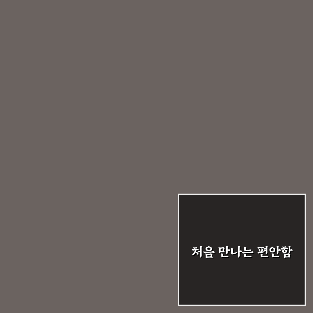 스케쳐스 딜라이트 웨이브 사용 후기, 착화감은 어땠나