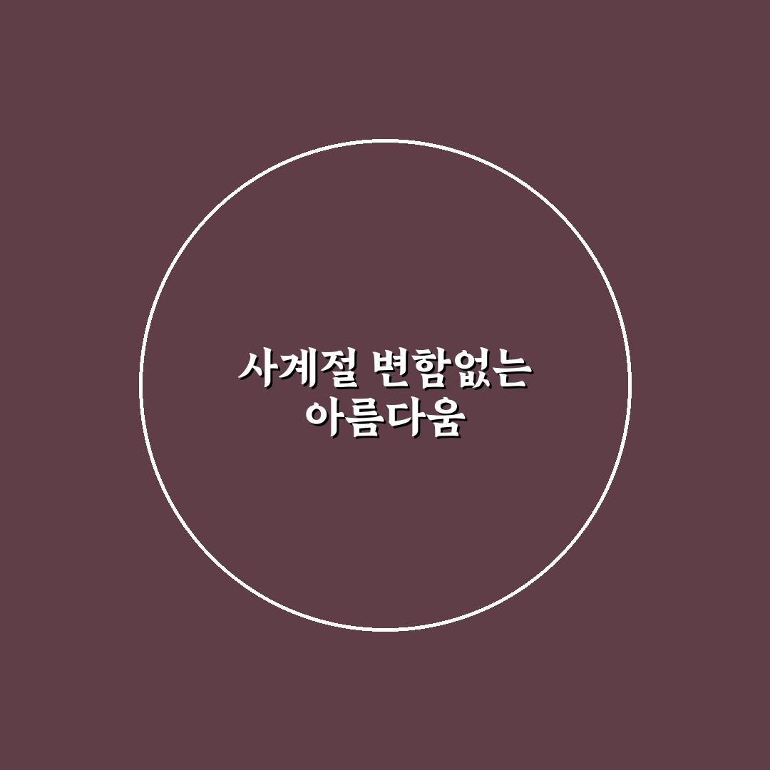 사계 패랭이꽃 직접 키워보니 변화와 어려움 후기