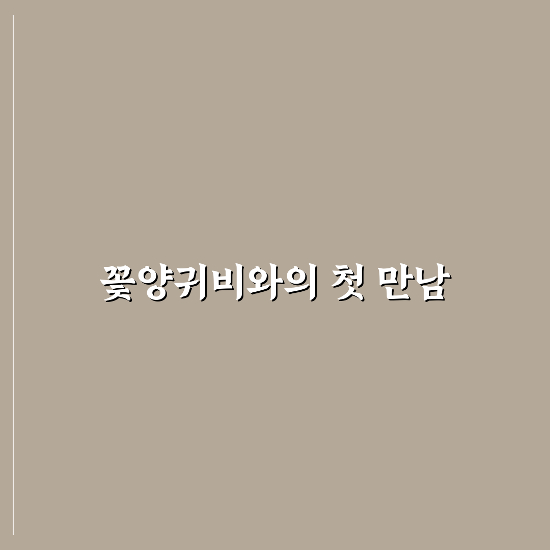꽃양귀비 키우기 후기, 직접 재배해보니 어려웠던 점