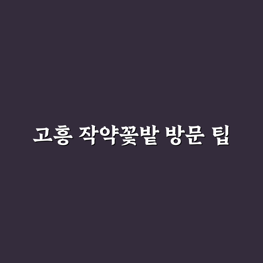 고흥 작약 꽃밭 가는법 5가지 기준별 비교 분석