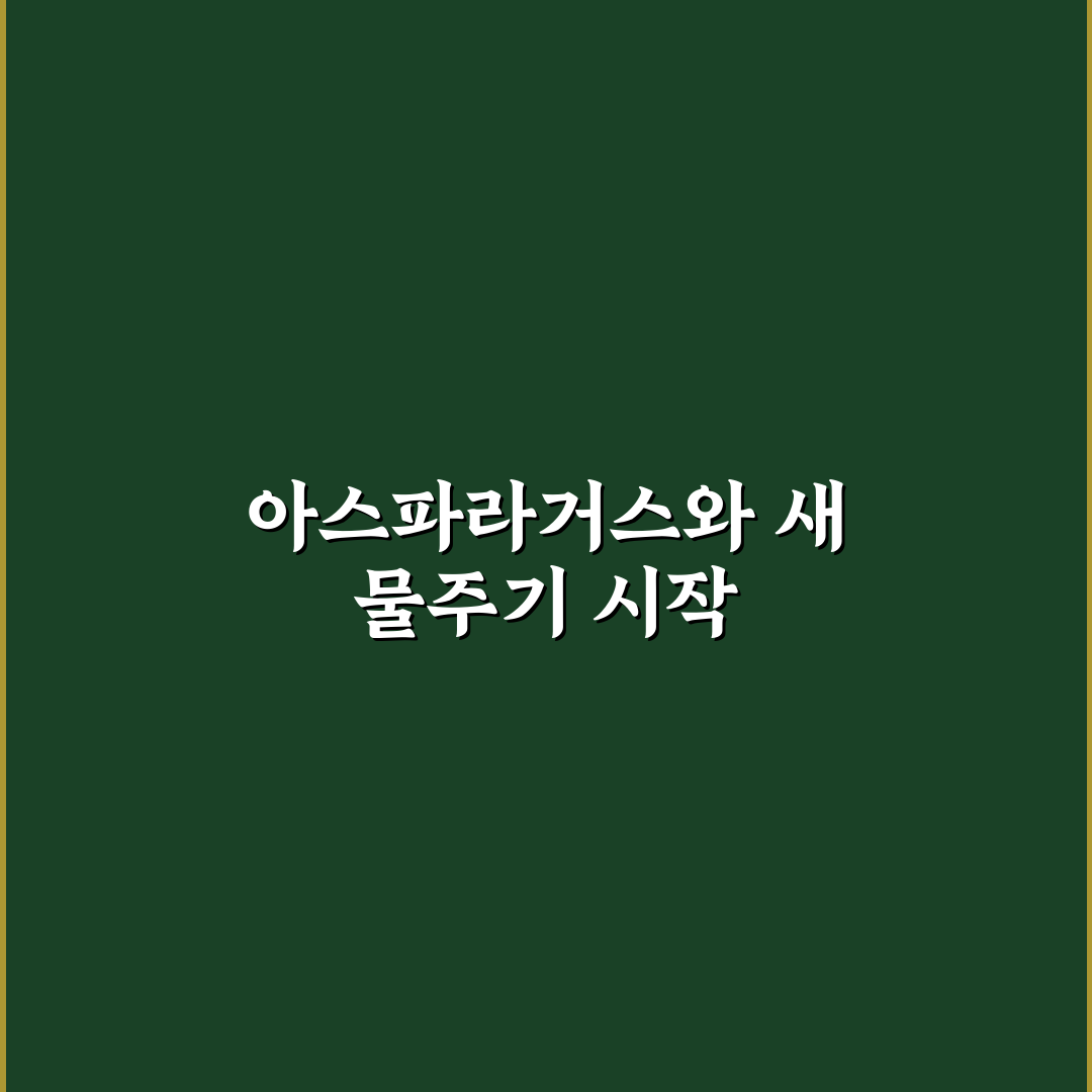 아스파라거스 나누스 물주기 직접 해보니 생장 차이 있었어요