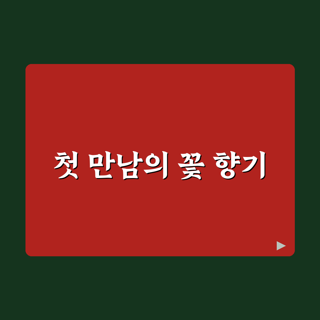 마가렛 꽃 데이지 차이 직접 알아보니 달랐던 점